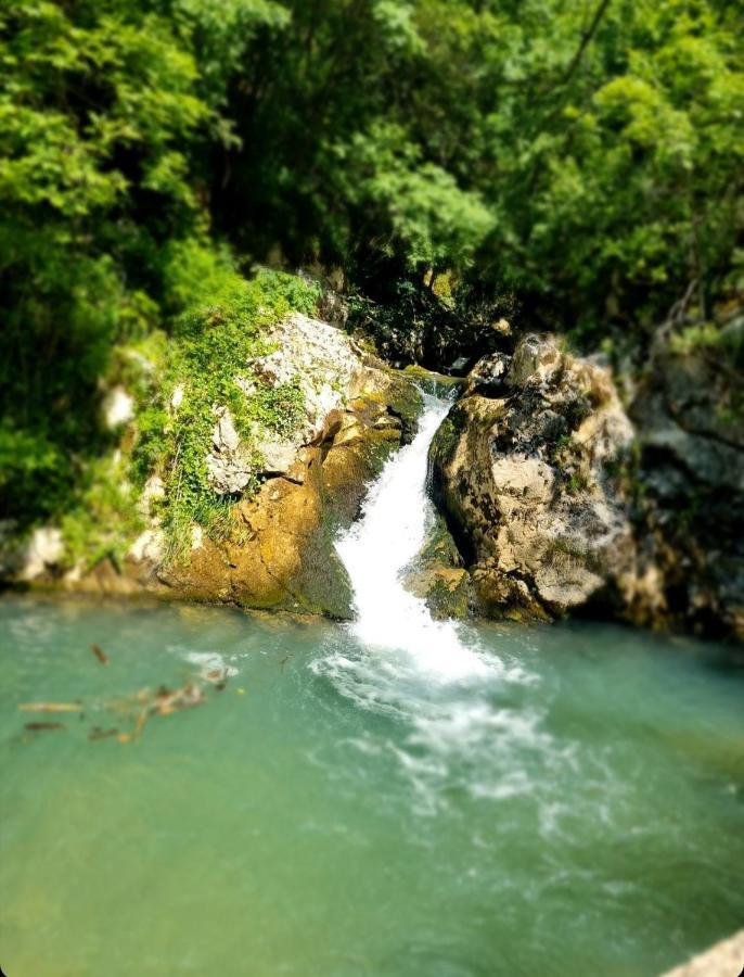 Anin Dvor Sekovici Daire Dış mekan fotoğraf